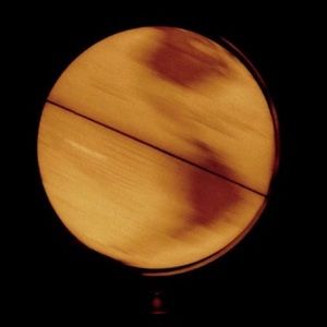 Meet your Posher, Nivette